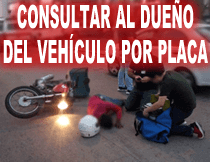 Propietario de vehículo, dueño del carro